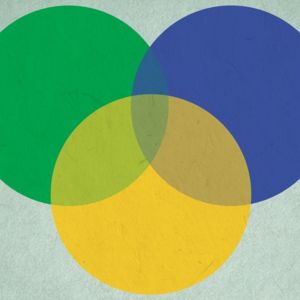 cohesion circles