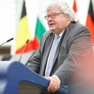 Reinhard Bütikofer at the plenary