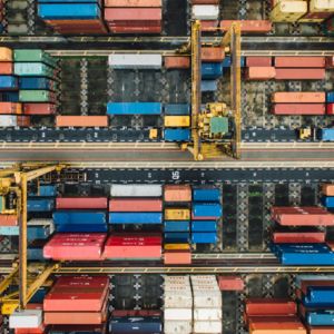 US Tariffs: Quote by Anna Cavazzini