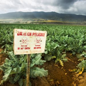 pesticides